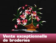 Nol solidarit active